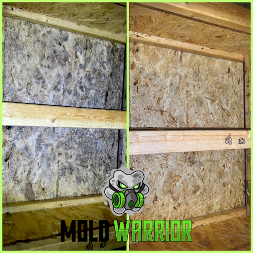 Mold-covered wall before and after cleaning; wooden frame, tan and grey mold, with