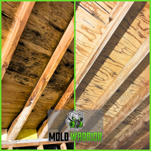 Moldy ceiling before and after treatment with wood beams, green accents.
