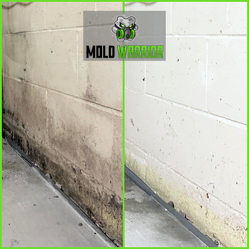 Before and after comparison of a basement wall cleaning. Left side has mold and stains. Right side is clean.