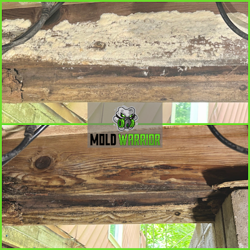 Mold-covered wood before and after treatment. A logo for