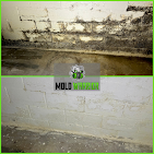 Mold-covered basement wall (top) compared to a cleaned wall (bottom). The cleaned wall is white.