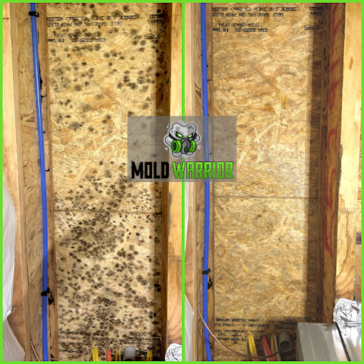 Side-by-side comparison: moldy wood paneling before and after cleaning, showing a dramatic improvement.