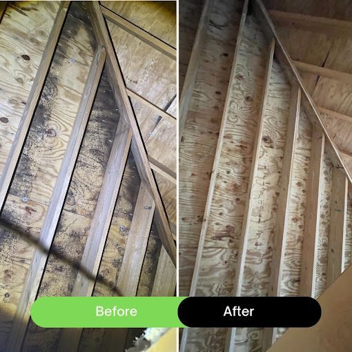 Comparison of an attic before and after cleaning, showing wood rafters and plywood, with dark mold and then cleaned wood.