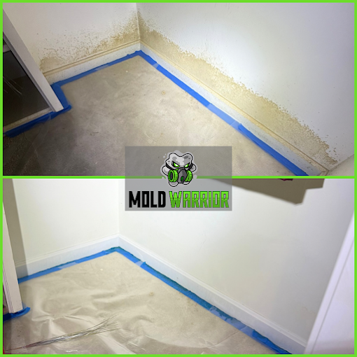 Before and after photos of a corner wall treated for mold. Mold Warrior logo.