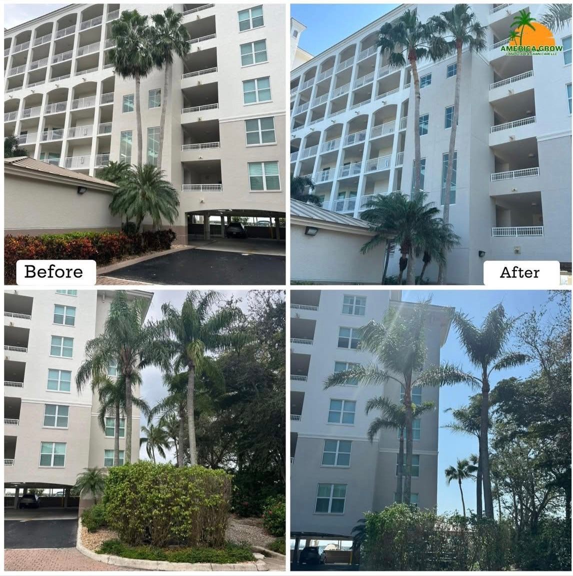 Before and after images showing the removal of a palm tree, highlighting the cleared space and changed landscape.