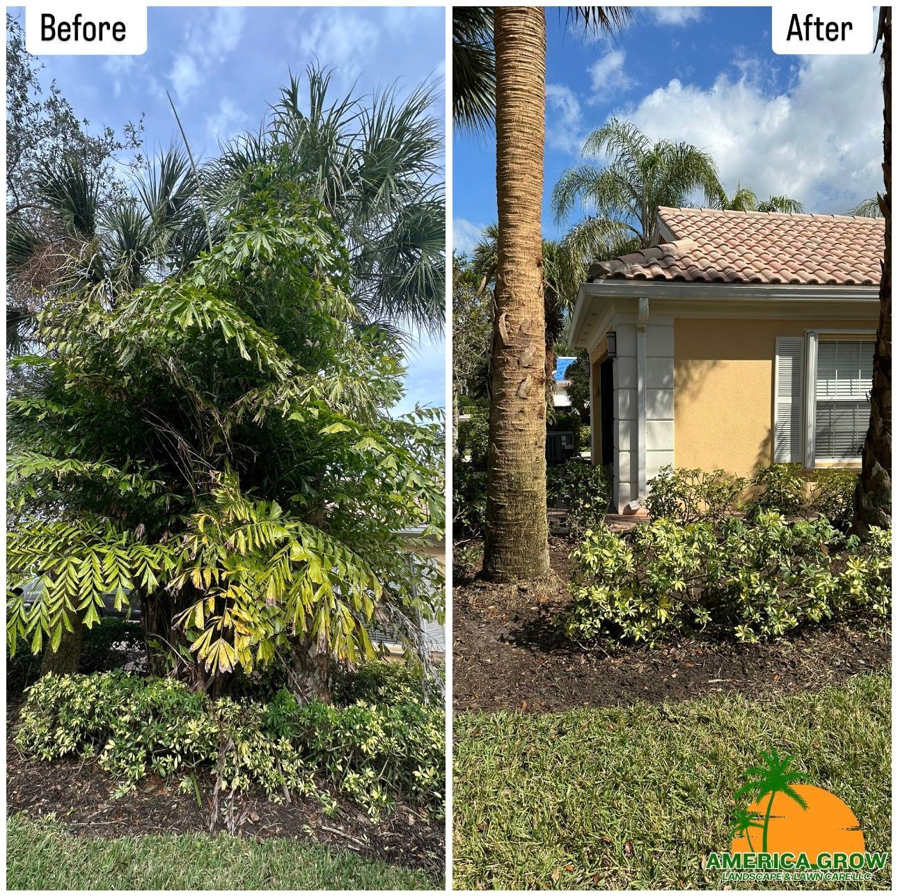 Before-and-after of yard work; overgrown foliage pruned away, revealing house and landscaping.