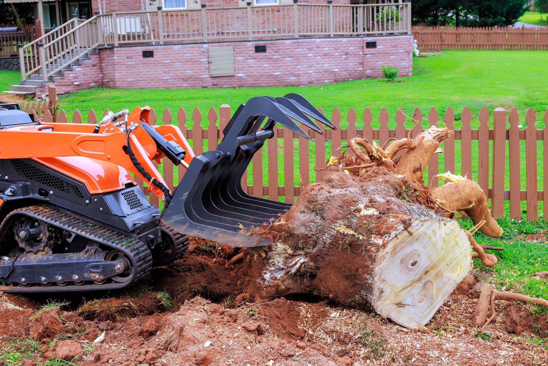 Orange mini-excavator removing a tree stump in a yard with a wooden fence and brick house in the background.