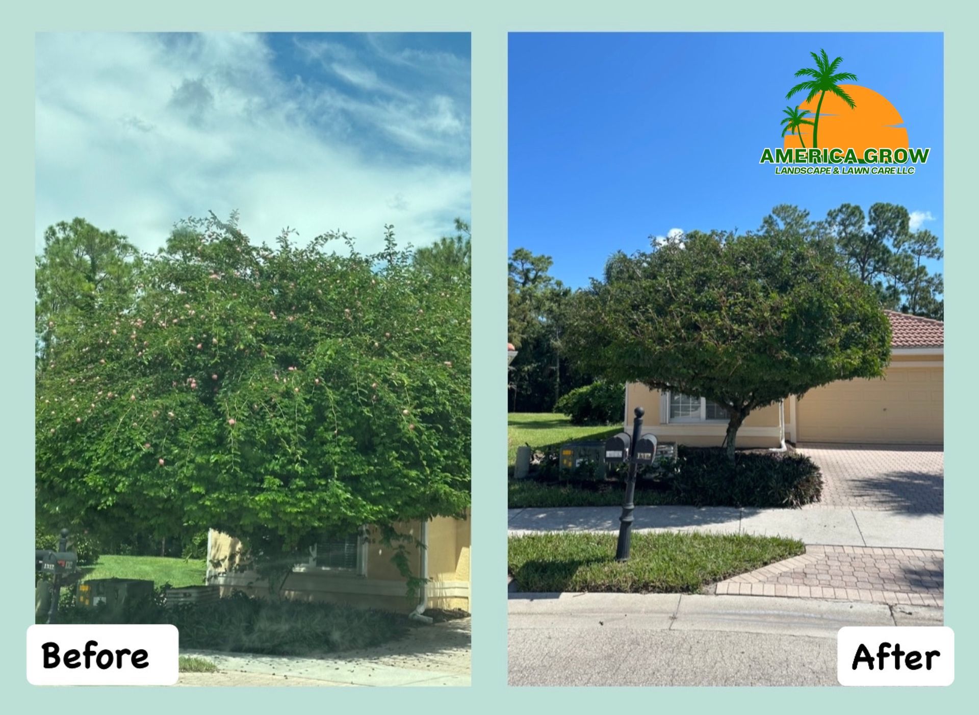 Before and after images of a tree in front of a house, showcasing its growth and changes over time.