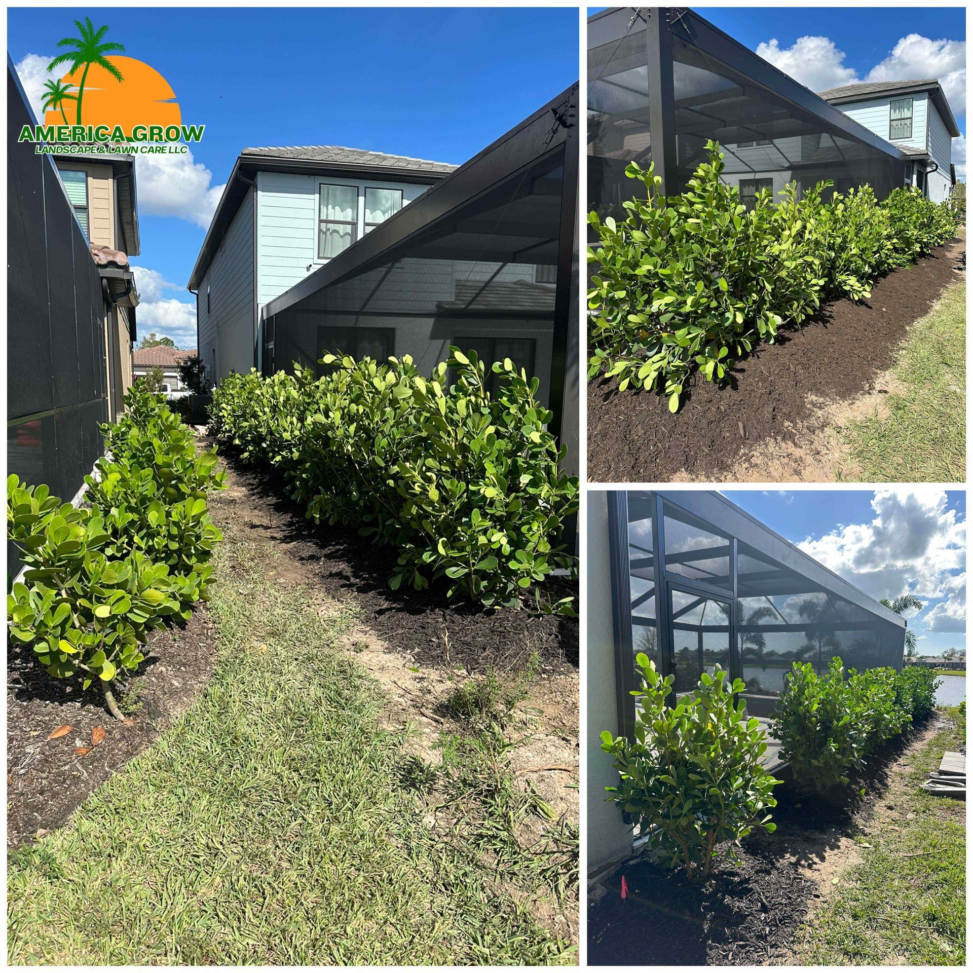 Landscaped backyard with green bushes, fresh mulch, and a screened-in patio.