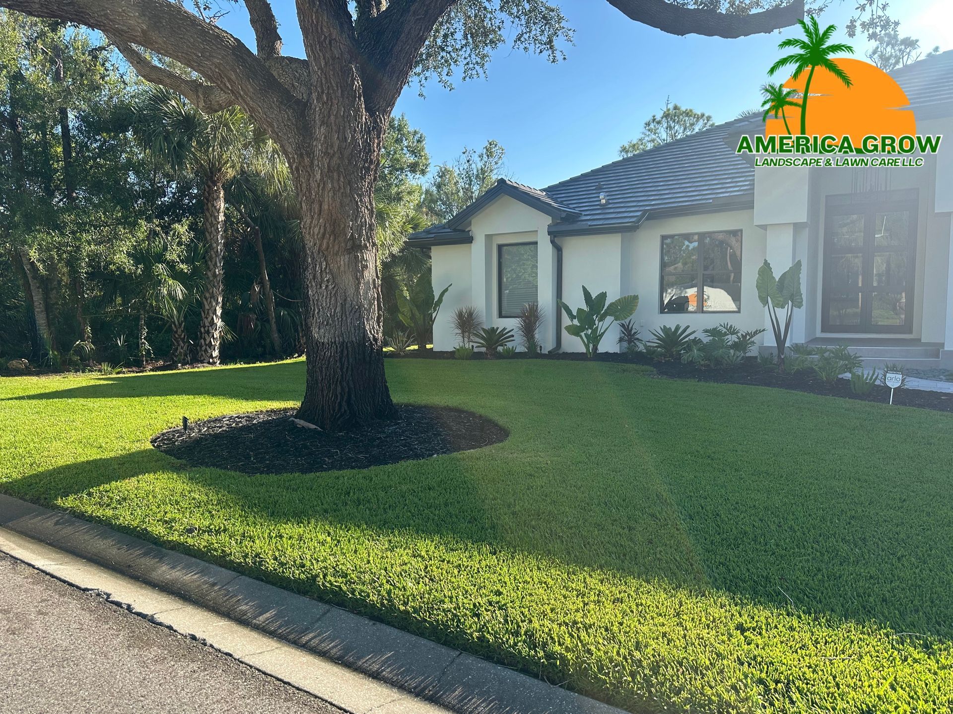 A vibrant lawn with lush green grass surrounded by tall palm trees under a clear blue sky.