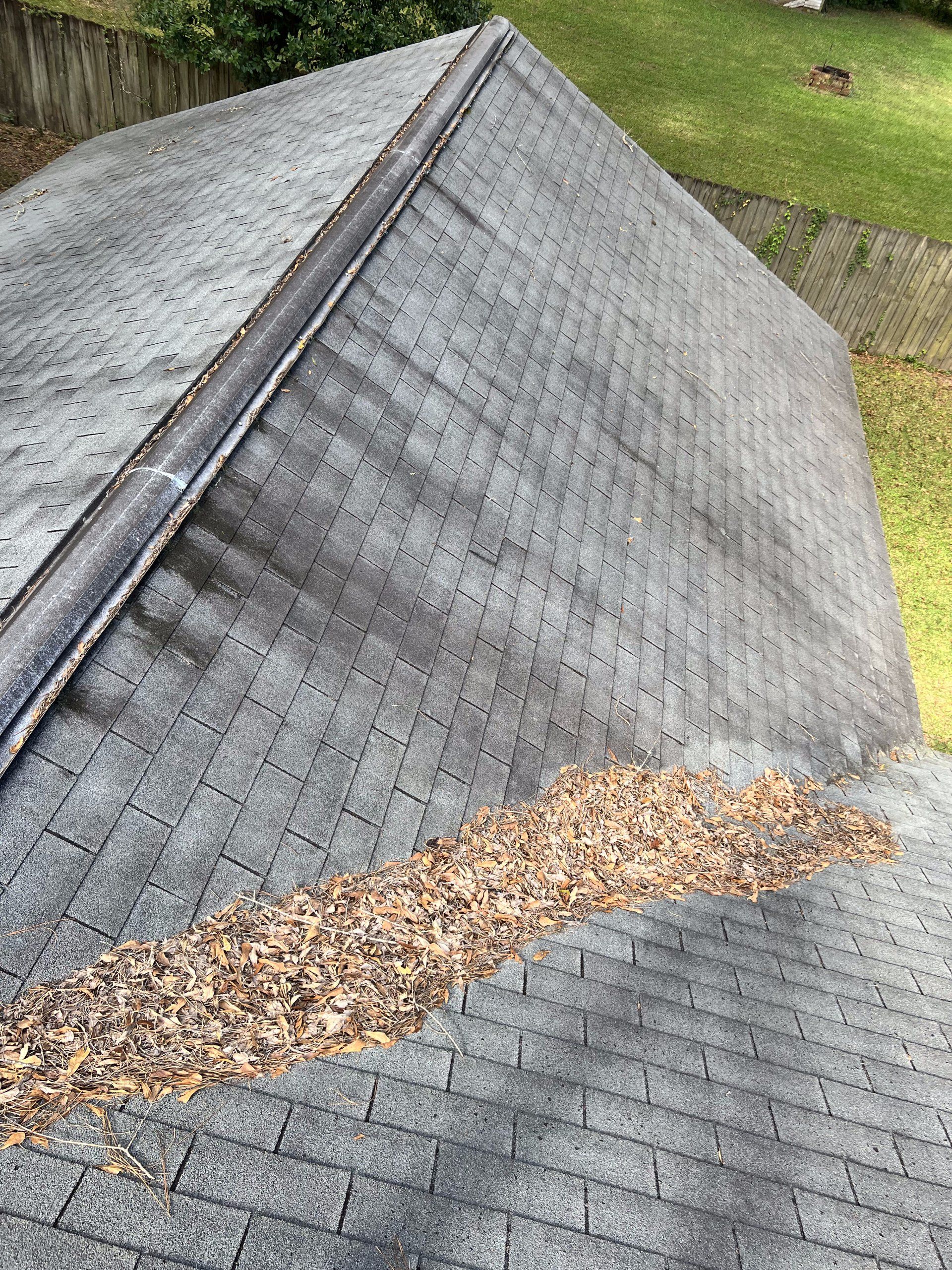 A Clean Roof Is a Good Investment