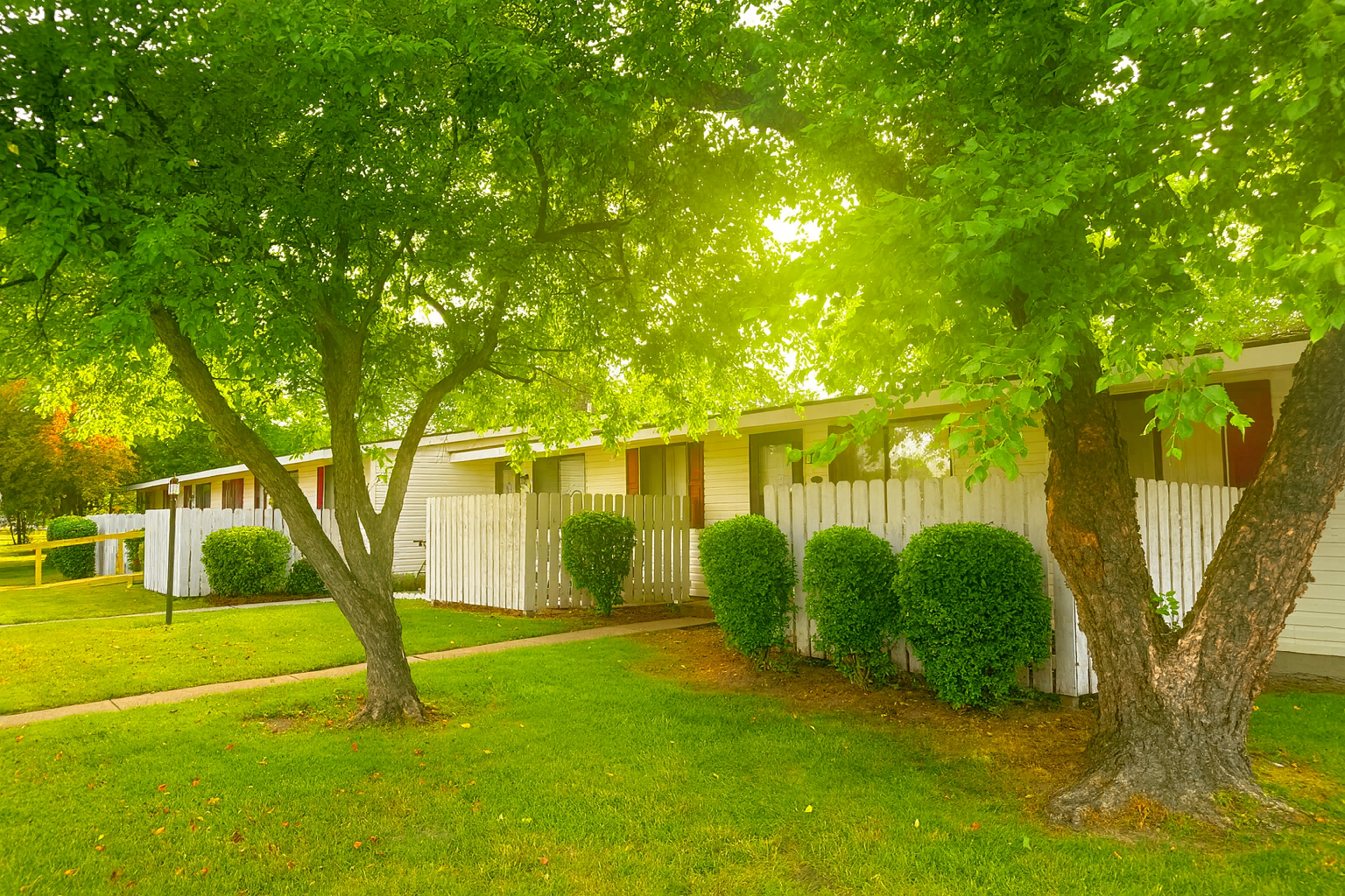 Green trees frame a row of white apartments with a grassy lawn, bright sunshine.