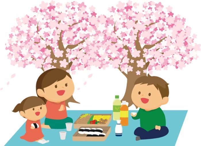 A family is having a picnic under a cherry blossom tree.