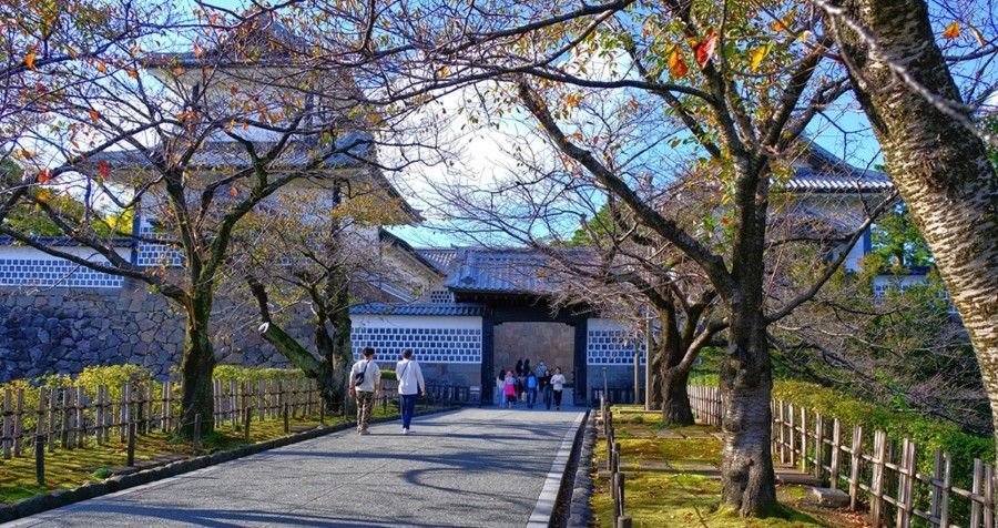 Path lined with cherry blossom trees leading to Kanazawa Castle.