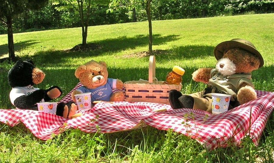 Stuffed animals having a picnic on a red gingham blanket in a sunny park.