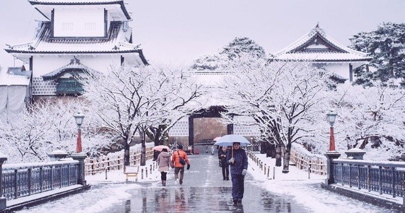 A group of people are walking in the snow with umbrellas.