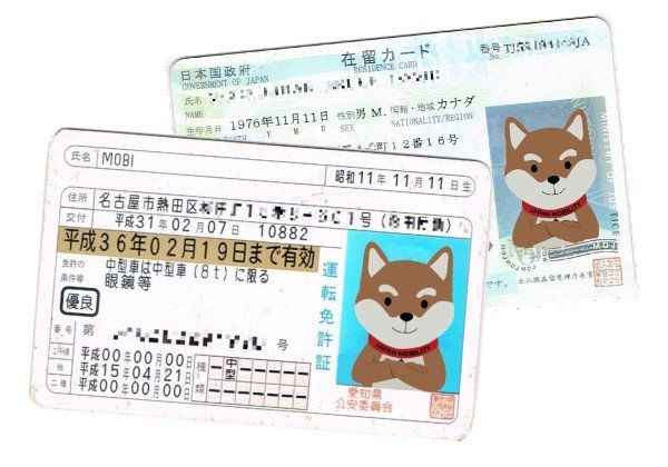 Japanese ID Cards
