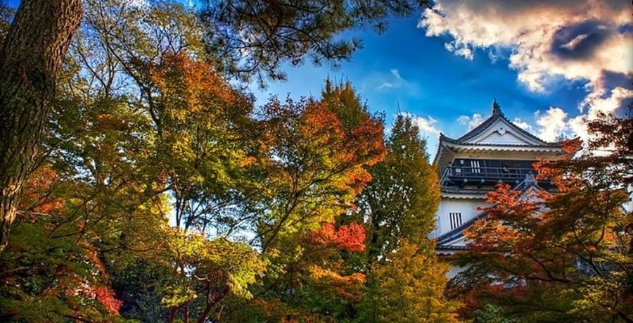 A castle is surrounded by trees with autumn leaves and a blue sky in the background.