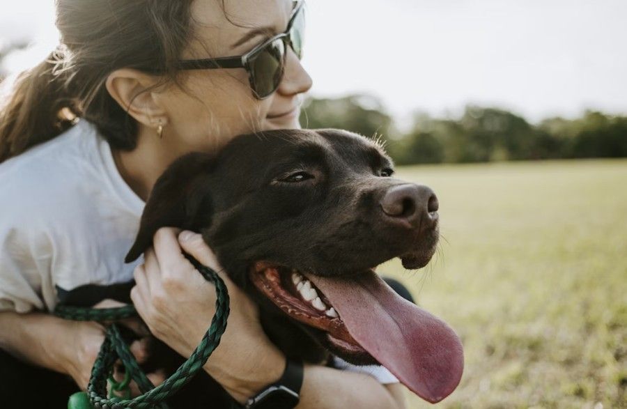 Woman hugging a happy brown Labrador dog in a grassy field, both enjoying the sunny outdoors.