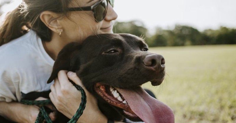 Woman in sunglasses hugging a brown Labrador dog outdoors in a field. The dog has its tongue out.