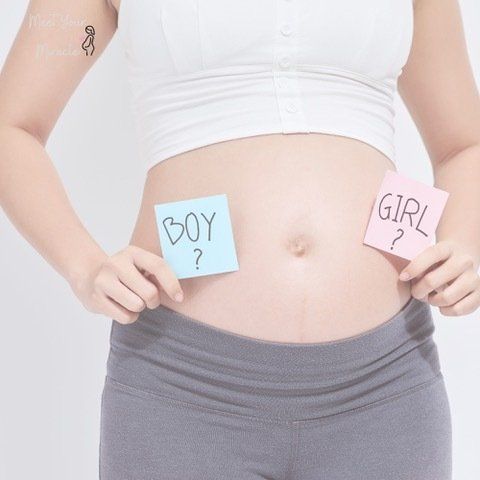 A pregnant woman is holding a boy and a girl sticker on her belly