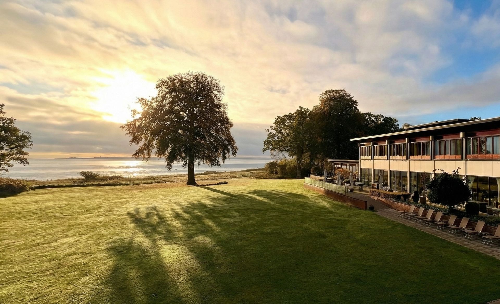 Græsplæne med træ, bygning og havnefront ved solnedgang, der kaster lange skygger.