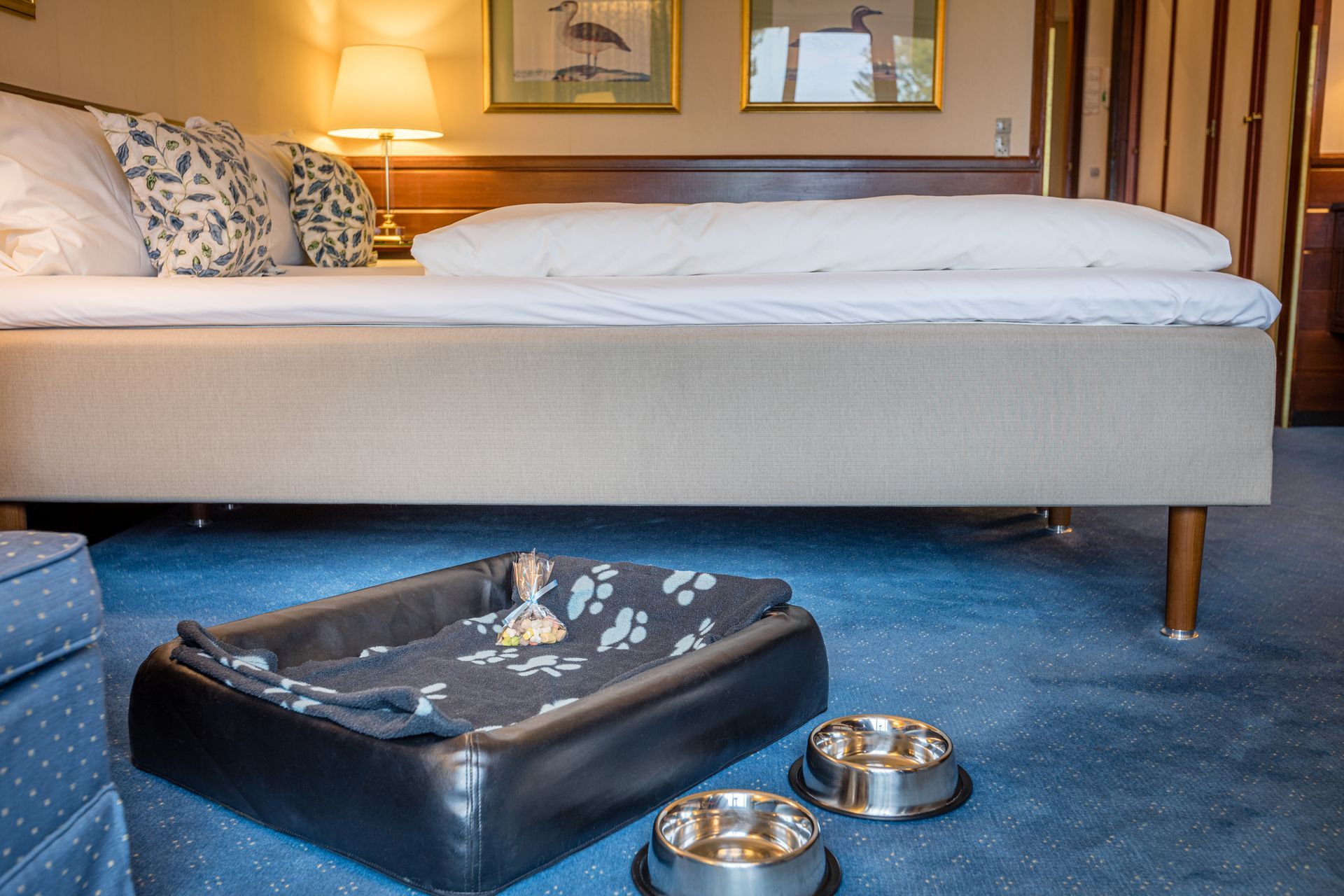 Hundeseng, madskåle ved hotelseng på værelse med blåt tæppe.