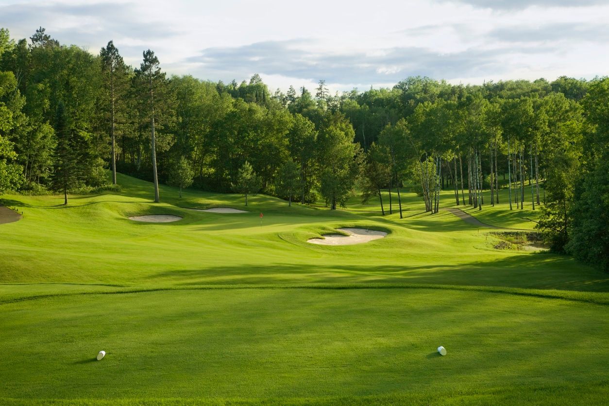 En golfbane med en masse grønt græs og træer i baggrunden.