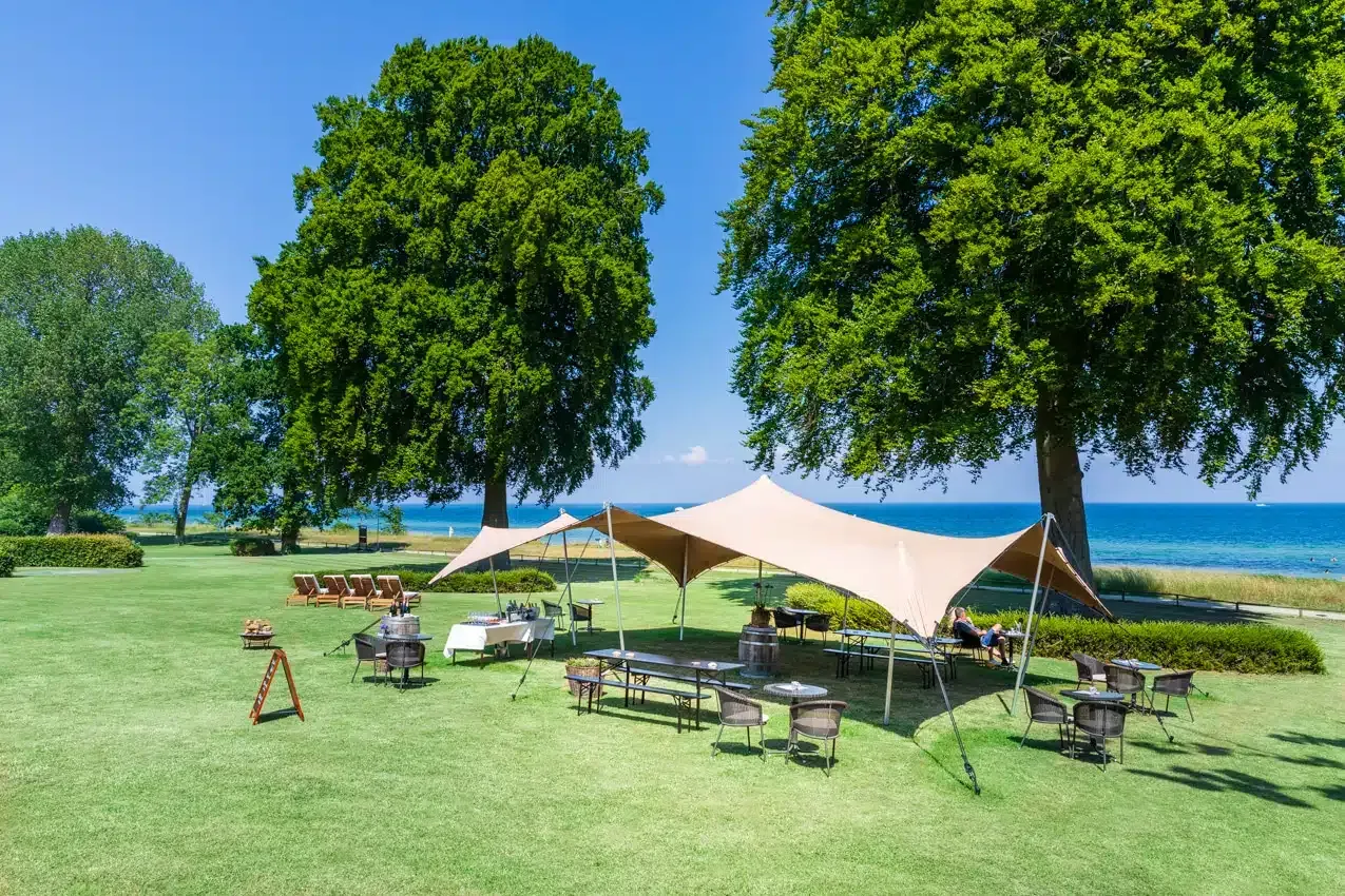 Der er mange forskellige typer træningsudstyr i dette fitnesscenter.