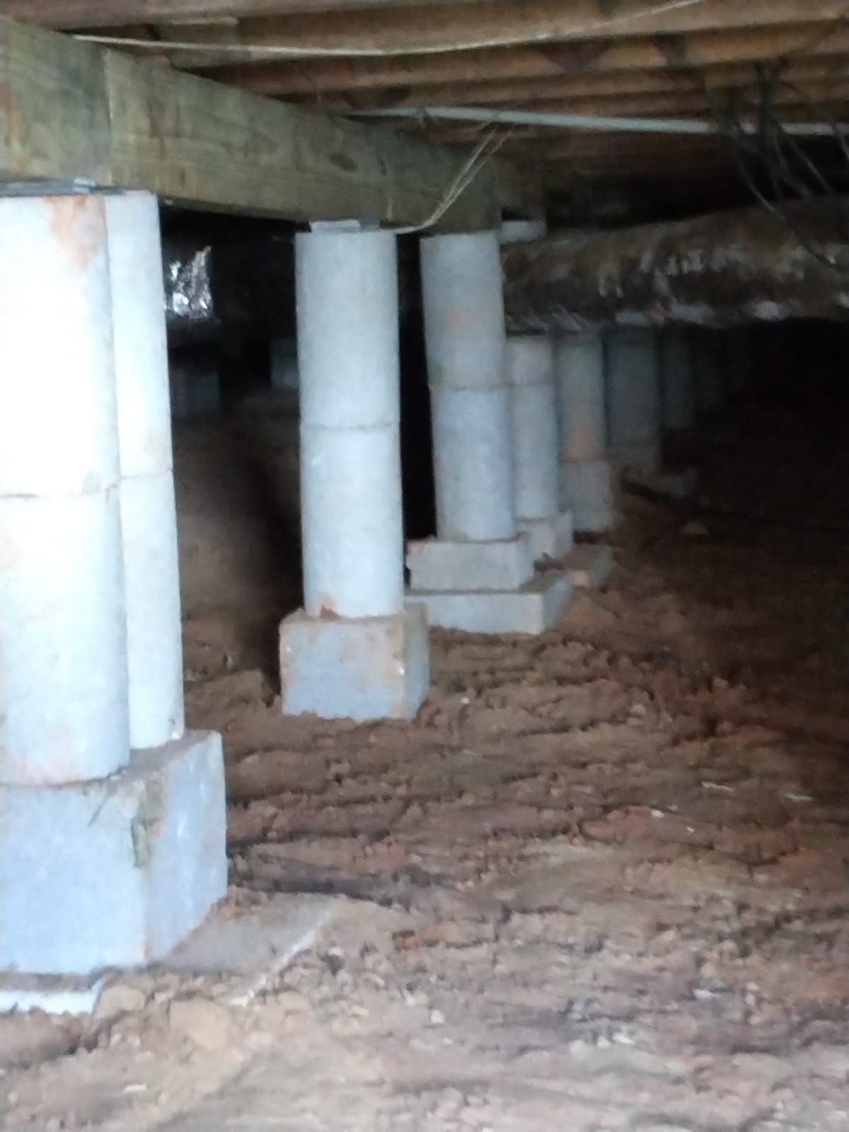 A row of concrete pillars are sitting under a wooden floor.