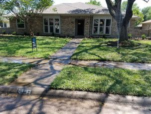 A house with a lush green lawn and a tree in front of it.