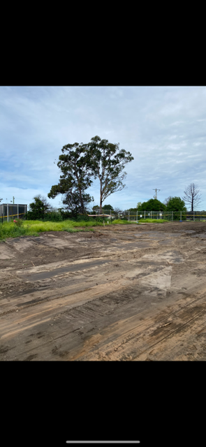 There is a tree in the middle of a dirt field.