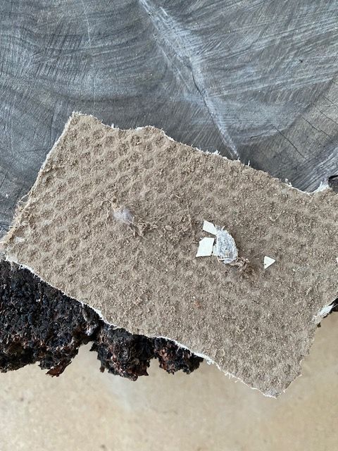 A piece of cardboard with a hole in it is laying on a table.