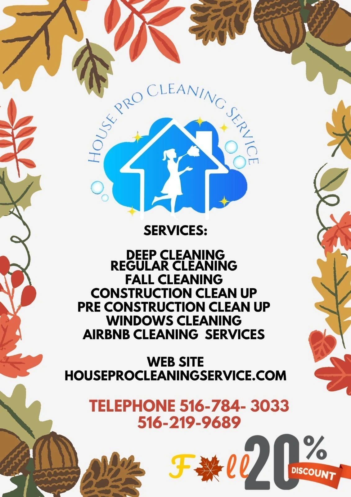 a house pro cleaning service advertisement with a 20 % discount