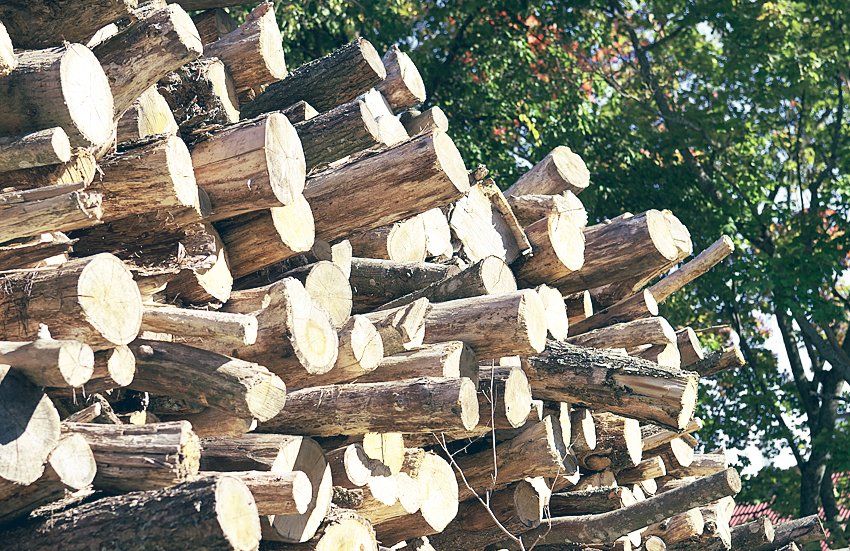 Firewood and mulch suppliers