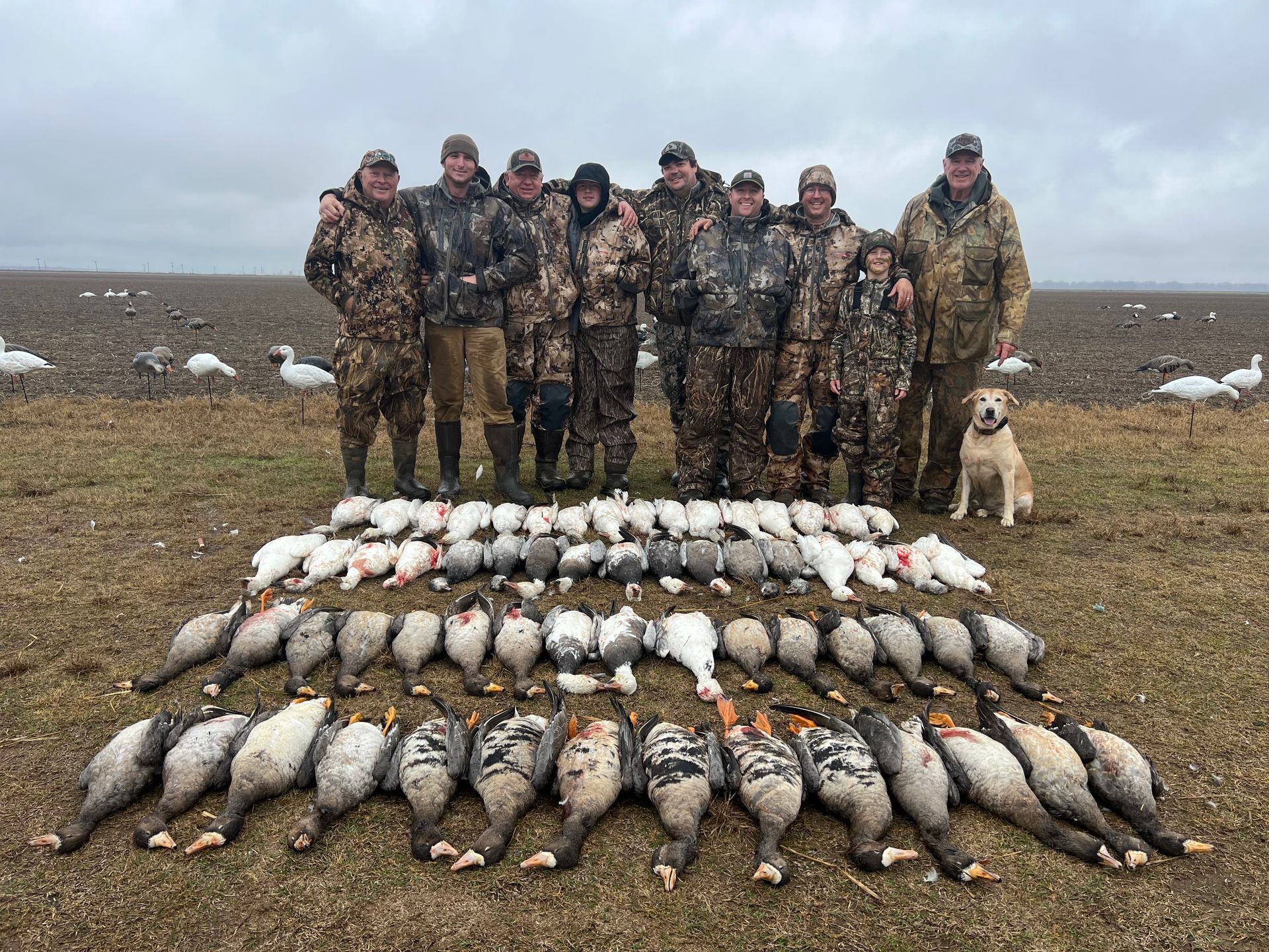 goose hunting outfitter