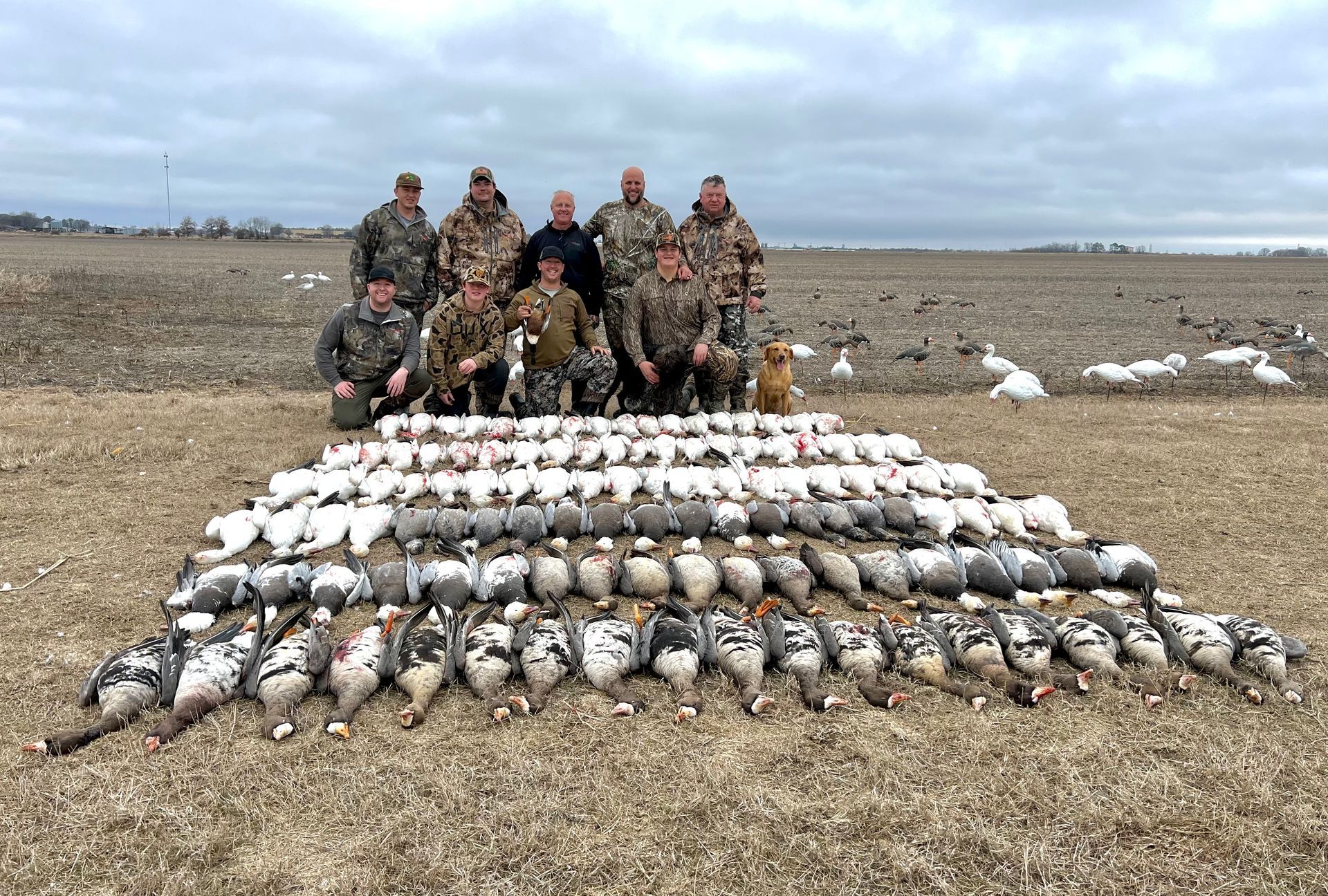 waterfowl hunts