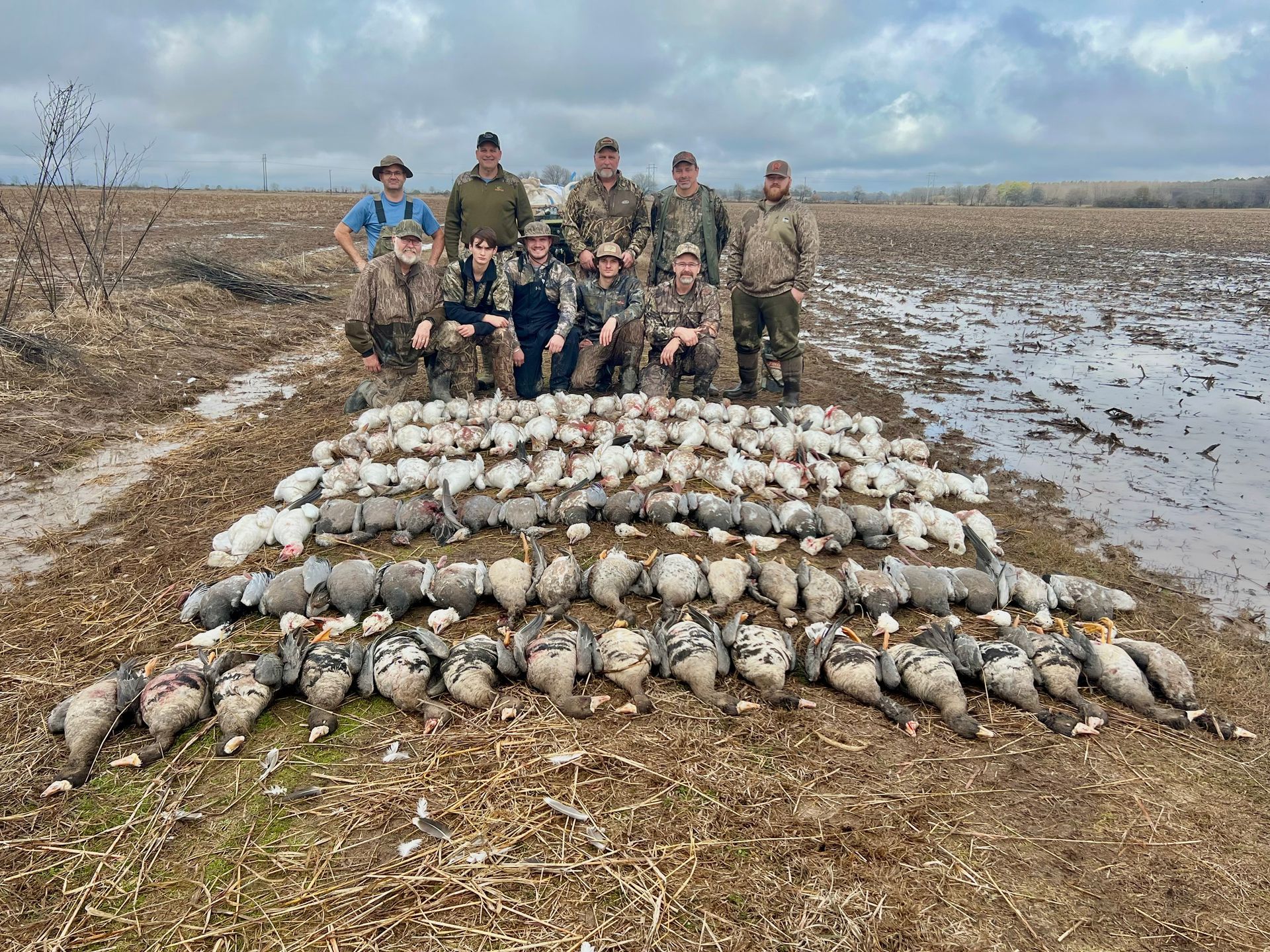 goose hunting Arkansas