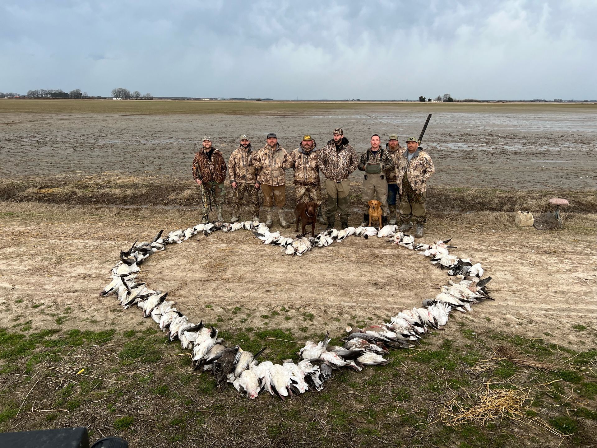 snow goose hunts