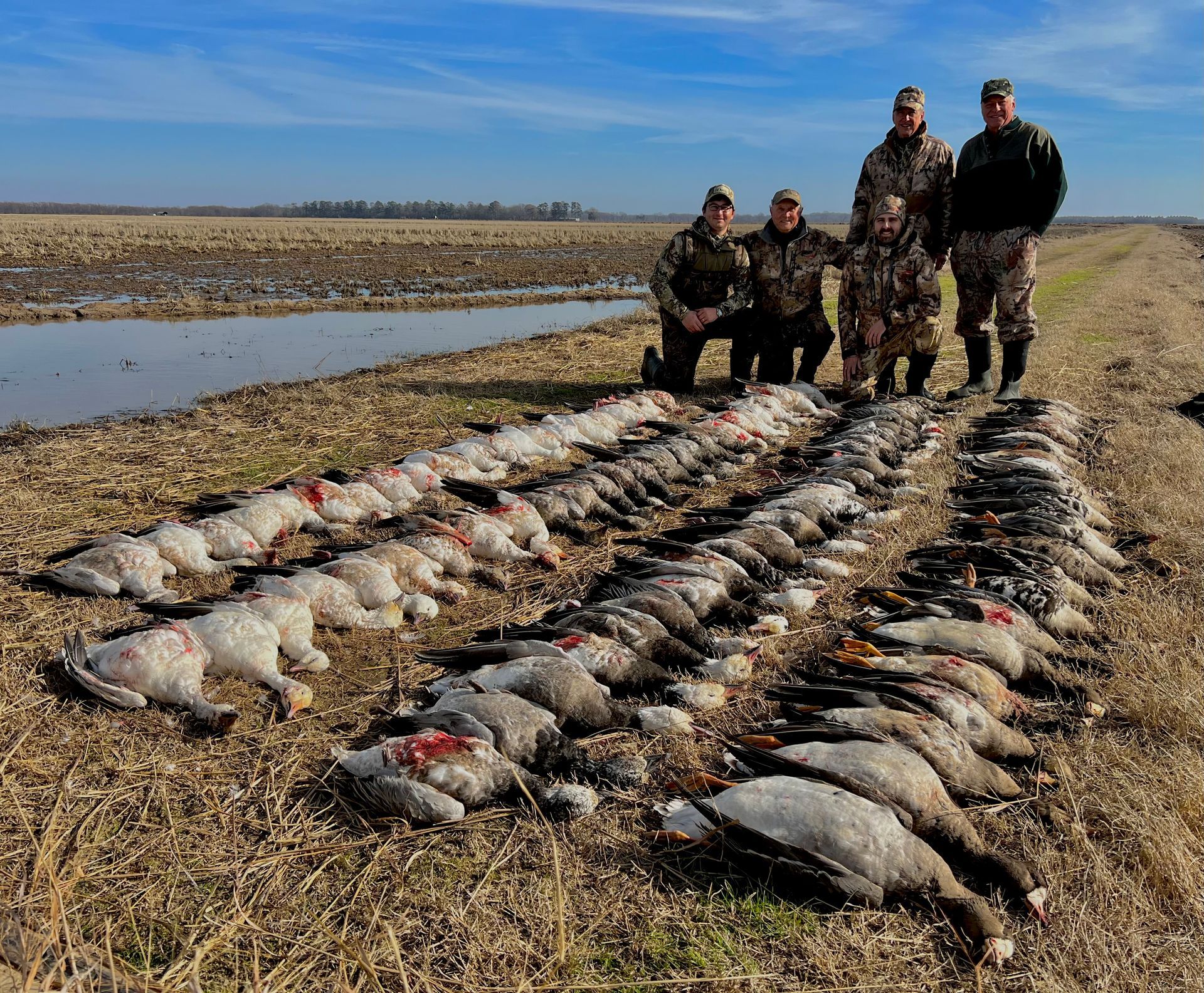 AR goose hunting guide