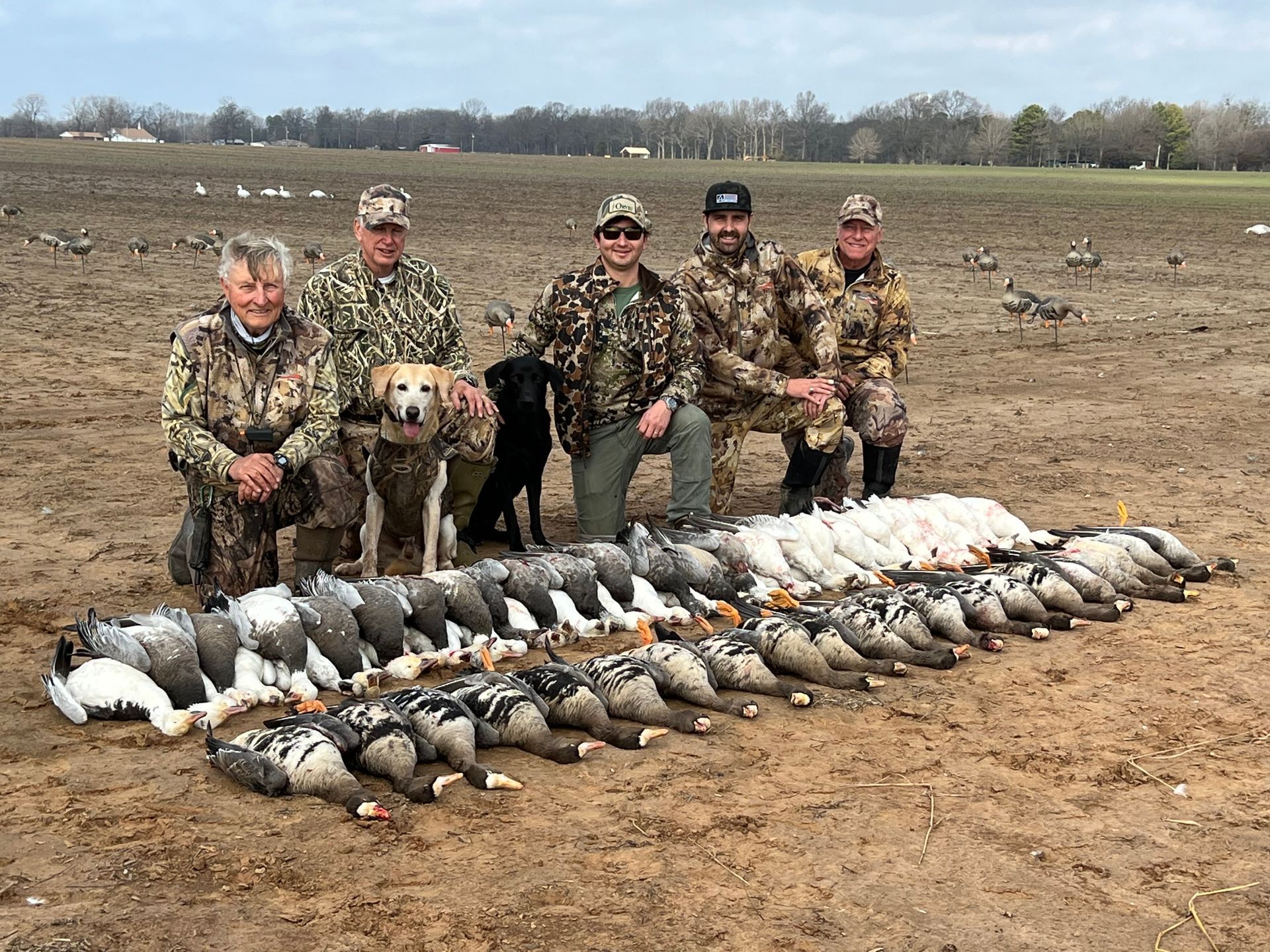Hunting Waterfowl in Arkansas