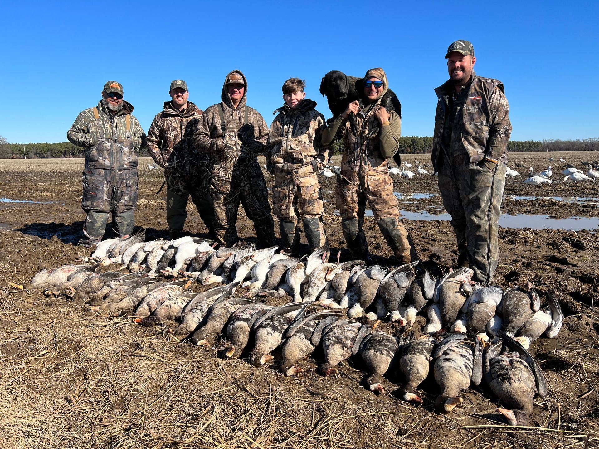 goose hunting outfitter