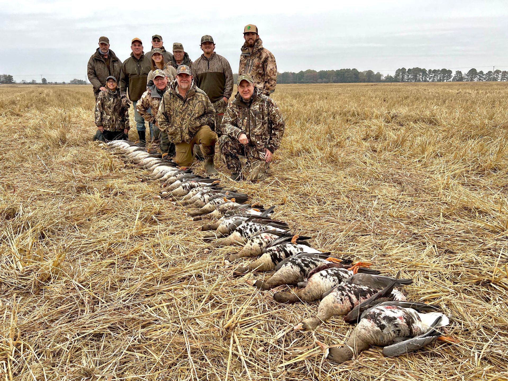 specklebelly goose hunts