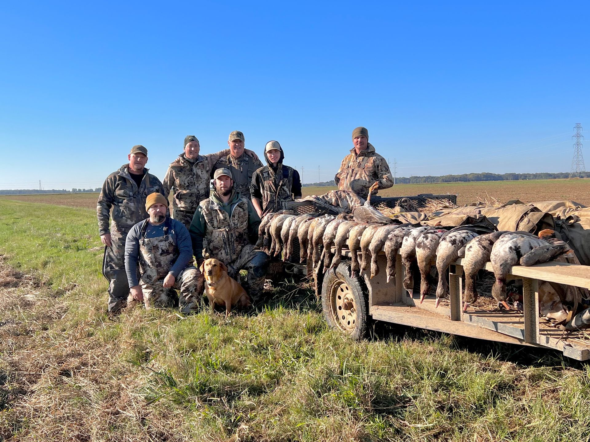 specklebelly goose hunting guide