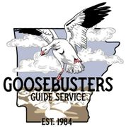 Goose Hunting Outfitter in Arkansas