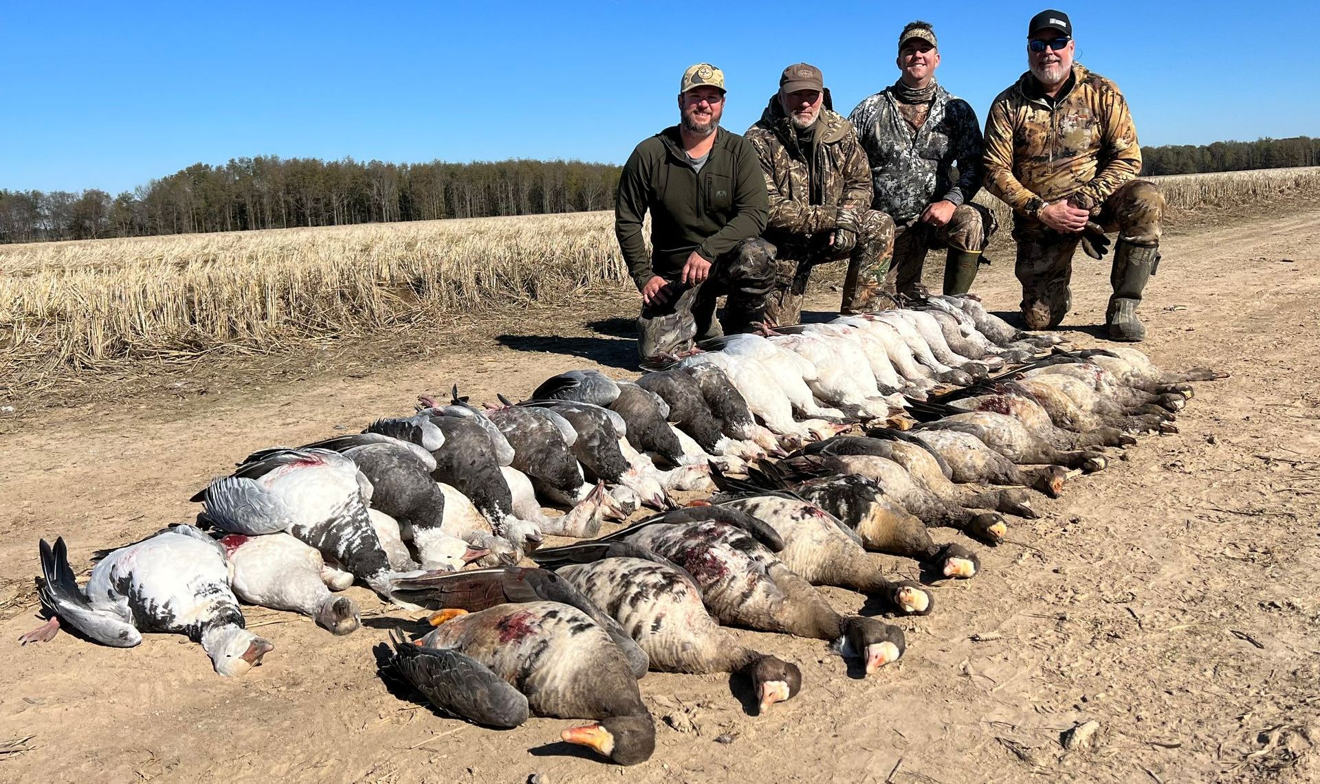 goose hunts