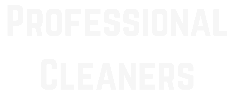 Professional Cleaners Inc logo