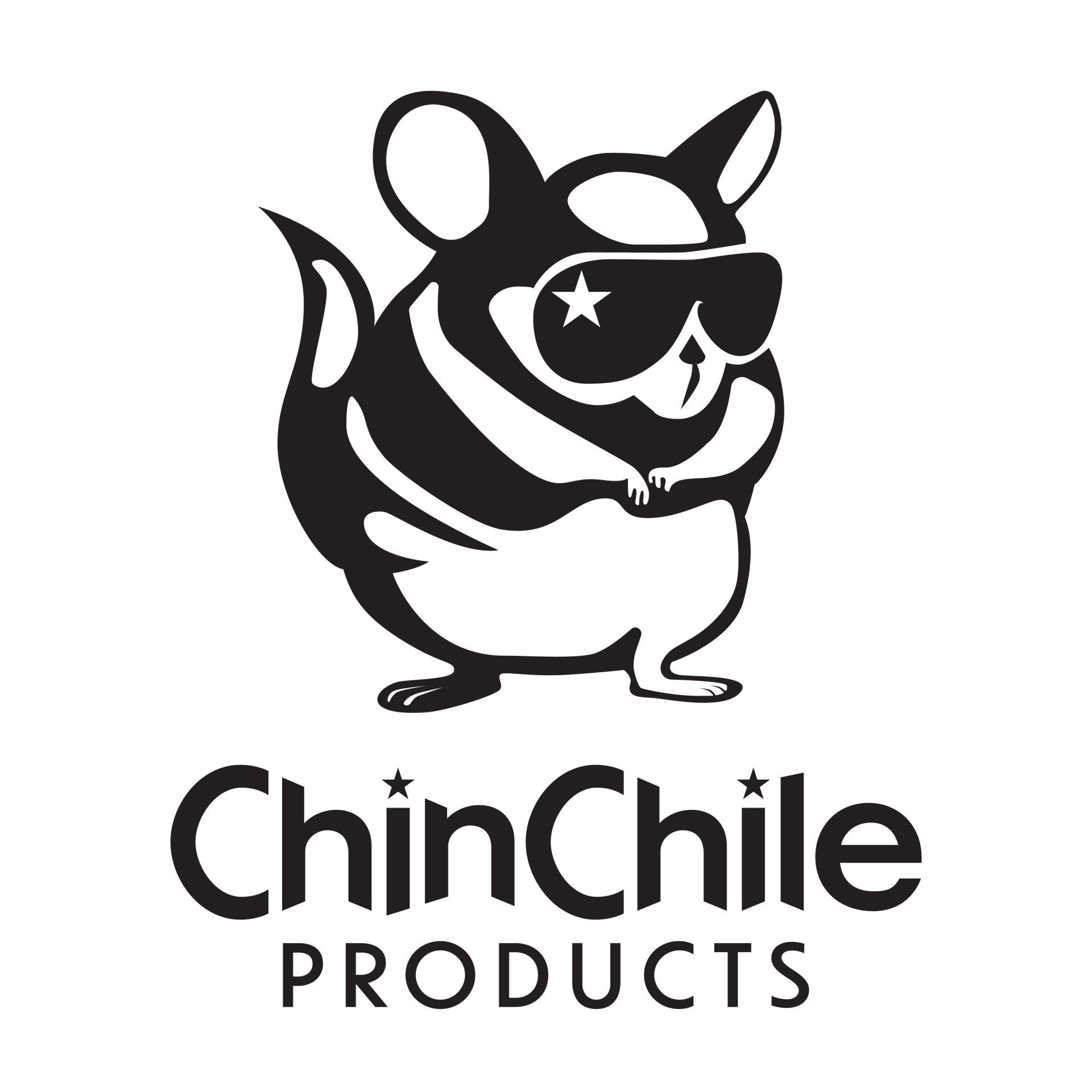 ChinChile Products logo