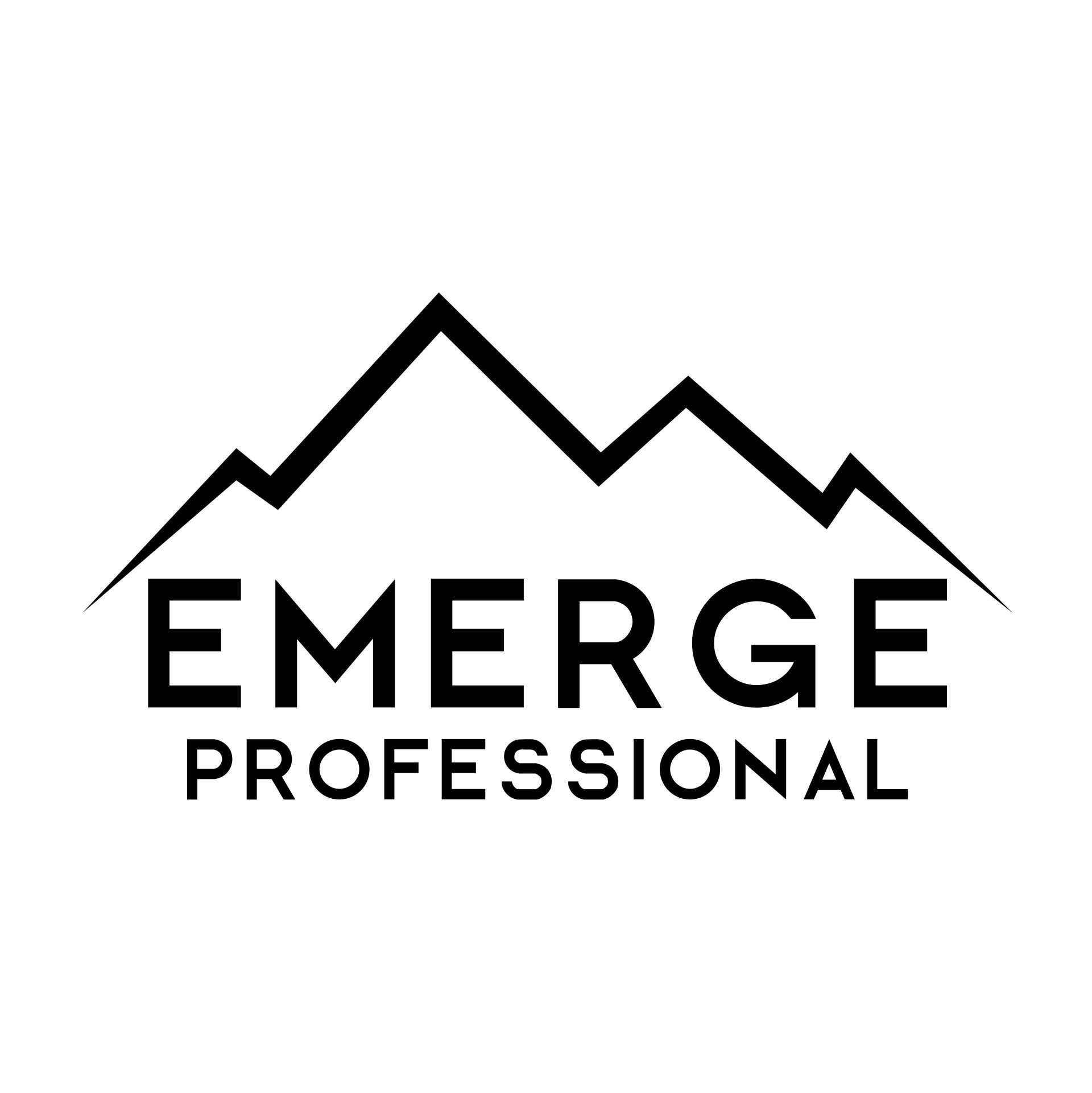 Emerge Professional logo