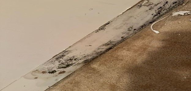 A close up of a molding on a wall next to a carpet.